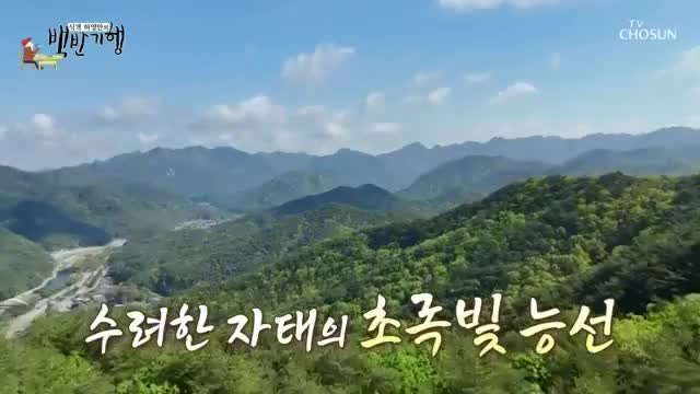 식객 허영만의 백반기행 제299회