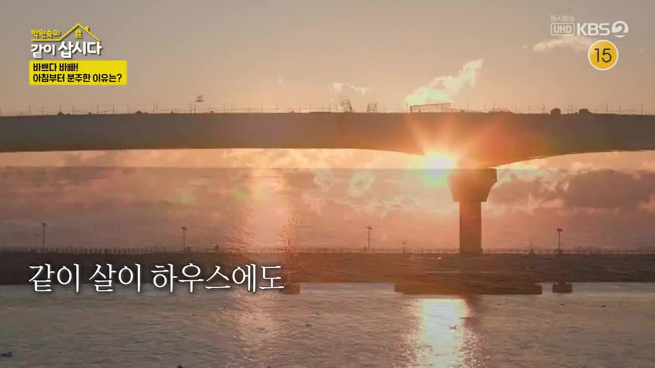 박원숙의 같이 삽시다 3 2025-03-13