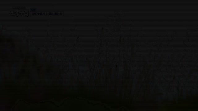요즘 남자 라이프 신랑수업 제186회