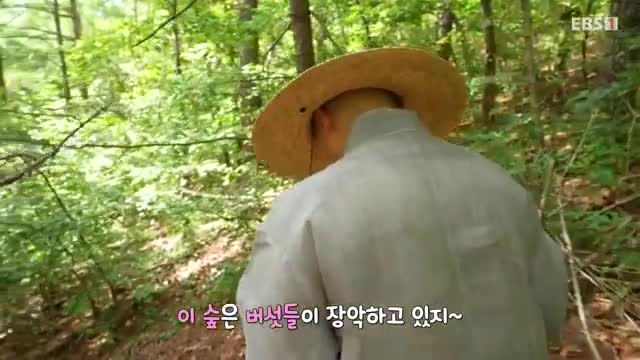 한국기행 2025-09-24