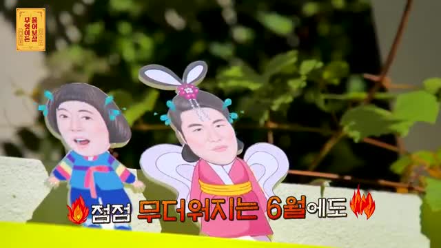 무엇이든 물어보살 제319회