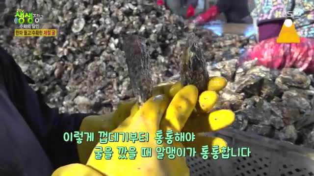 2TV 생생정보 2025-01-13