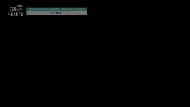요즘 육아 금쪽같은 내 새끼 제242회