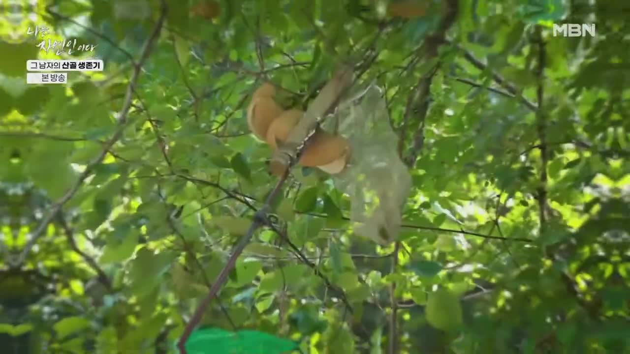 나는 자연인이다 제678회