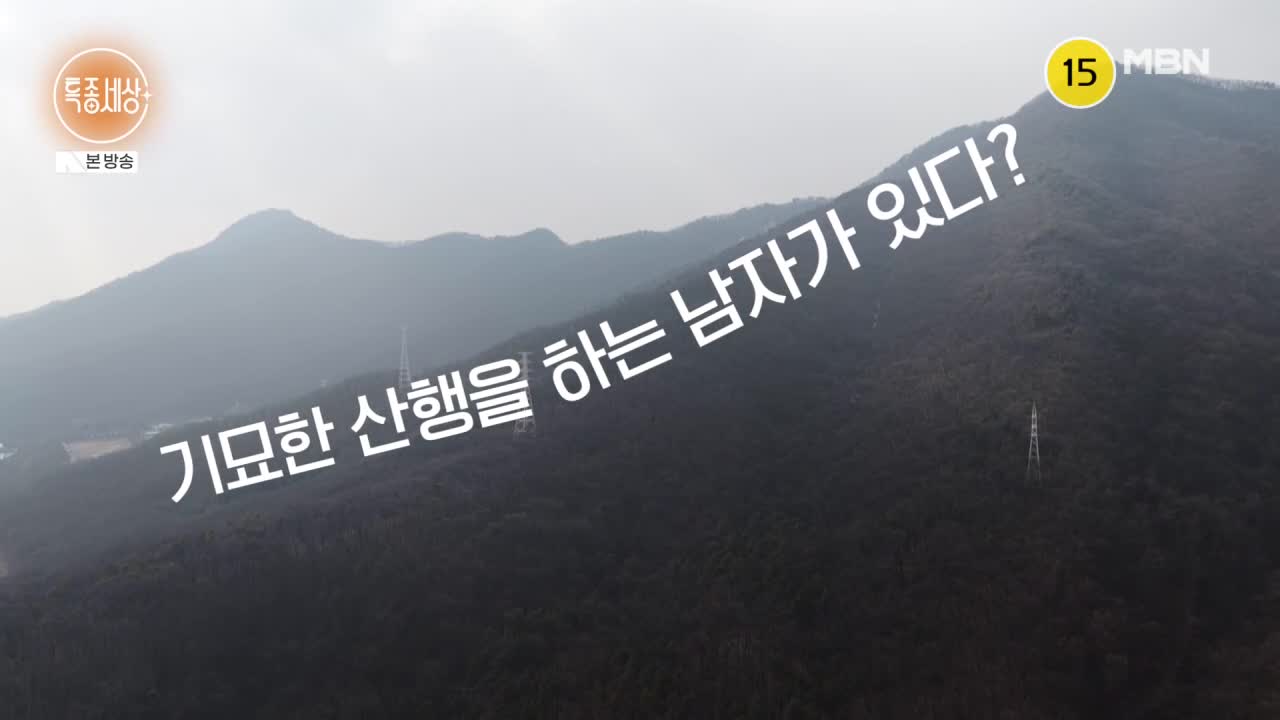 특종세상 2026-02-26