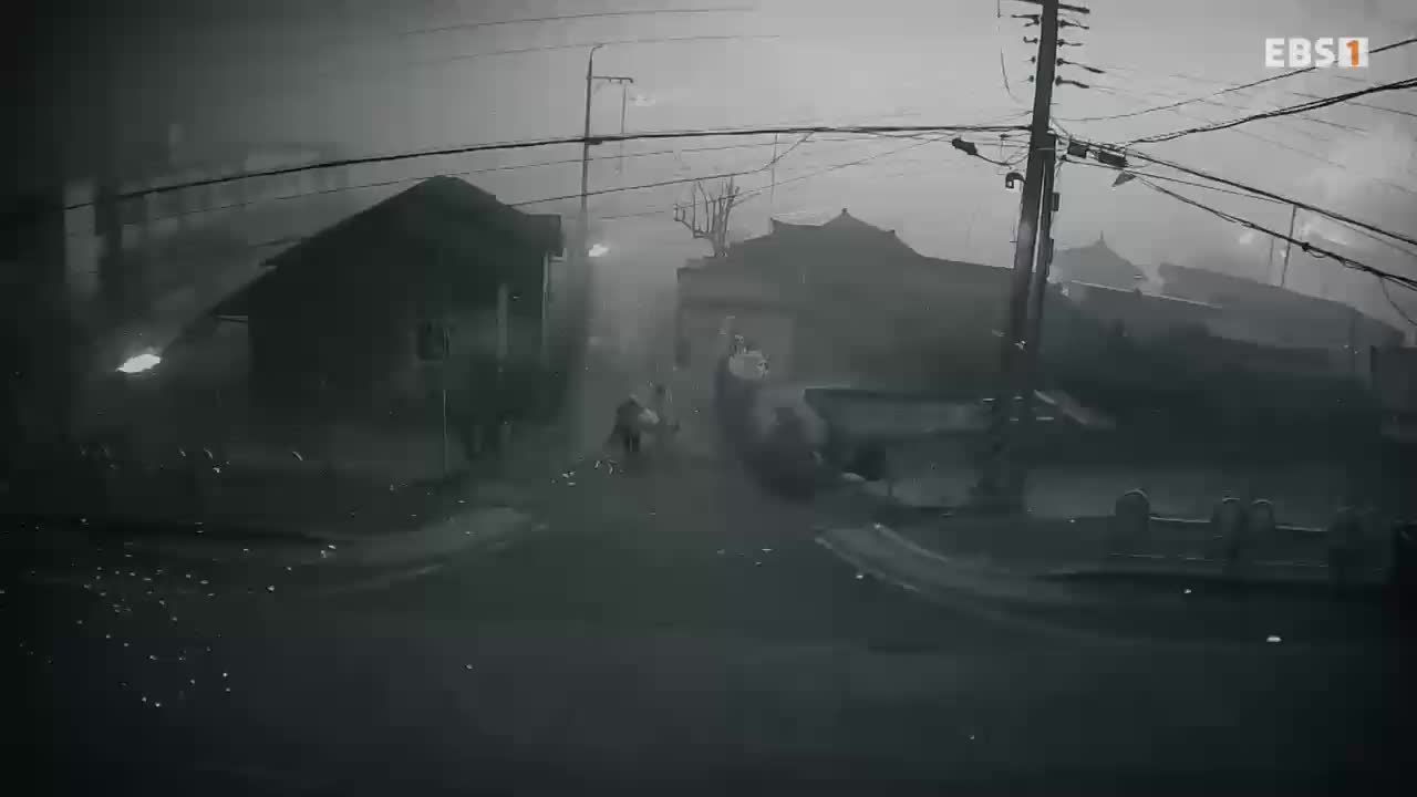 세상에 나쁜 개는 없다 시즌 4 2025-06-21