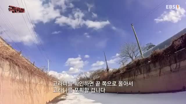 극한직업 2025-02-01