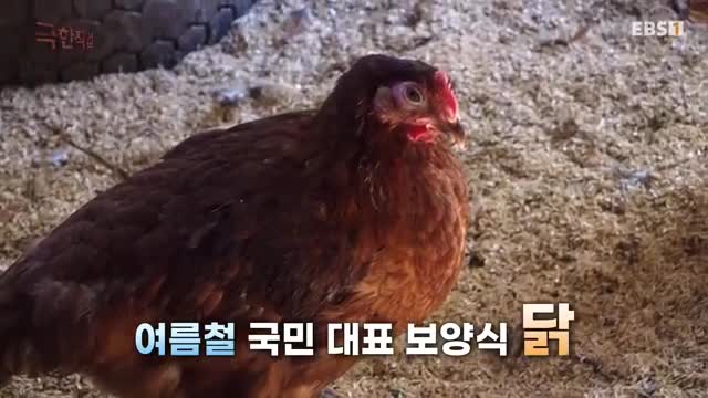 극한직업 2025-08-23