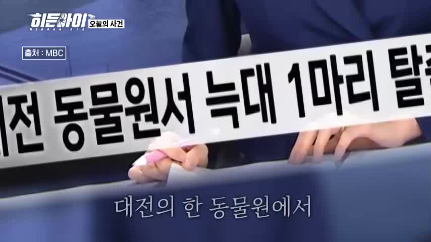 히든아이 2026-06-29