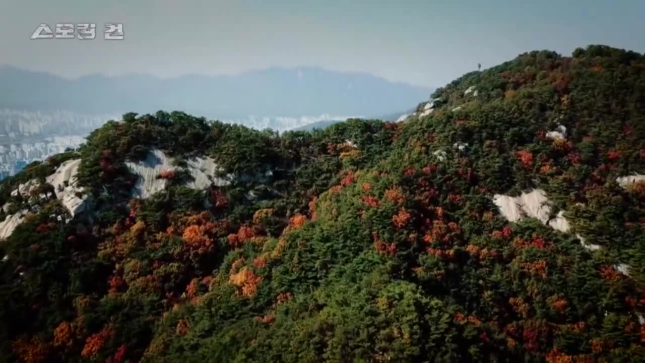 과학수사대 스모킹건 2025-08-19