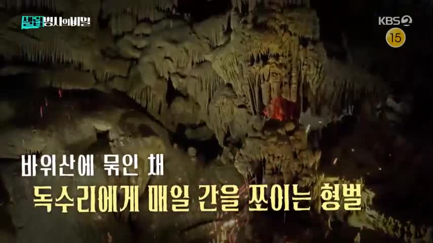 셀럽병사의 비밀 2026-06-02