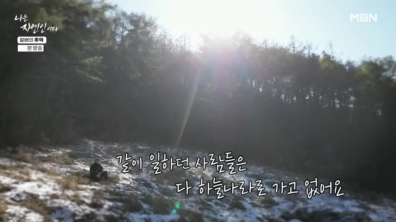 나는 자연인이다 2026-02-18