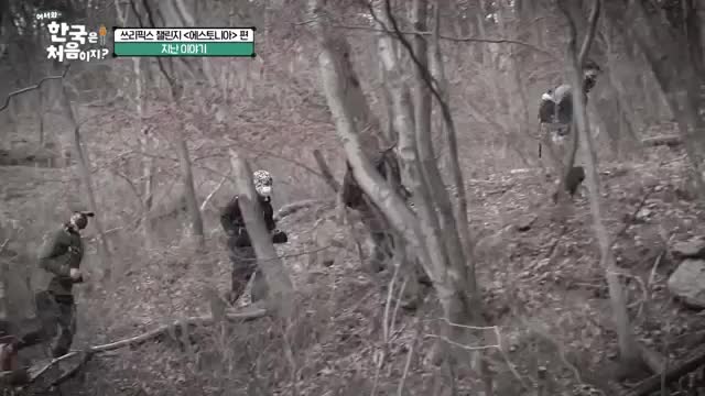 어서와~ 한국은 처음이지 시즌2 2025-07-31