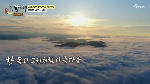 식객 허영만의 백반기행 제316회