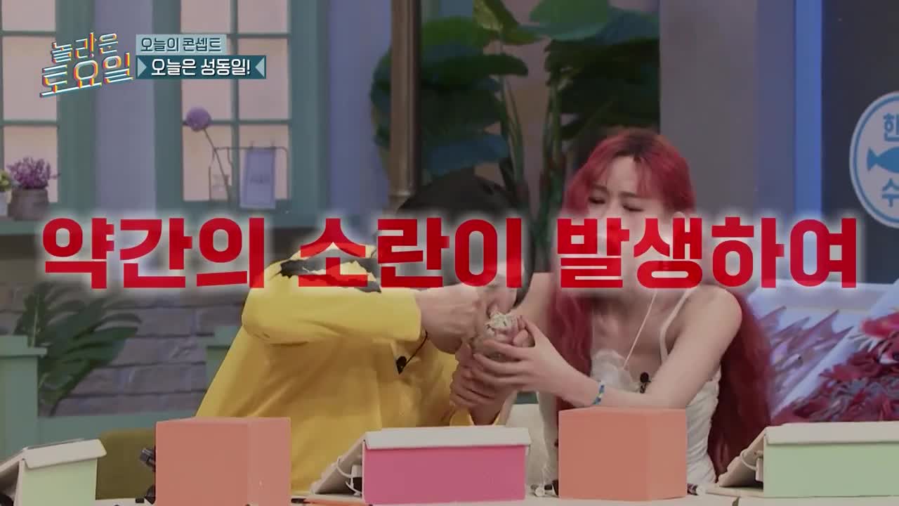 놀라운 토요일 도레미 마켓 2025-03-29
