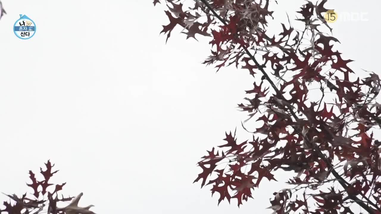나혼자 산다 제625회