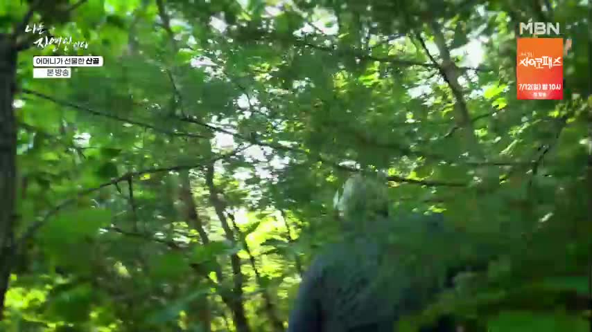 나는 자연인이다 2026-07-06