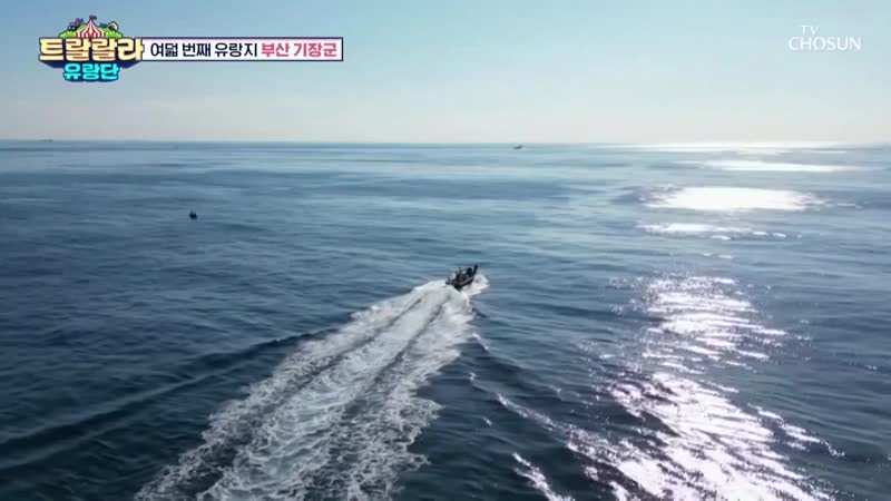 트랄랄라 유랑단 2025-01-17