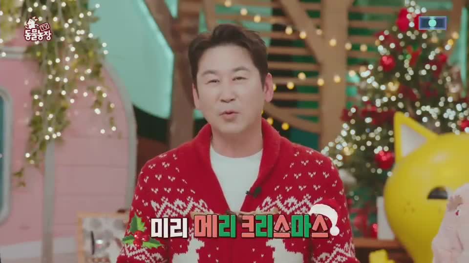TV 동물농장 제1252회