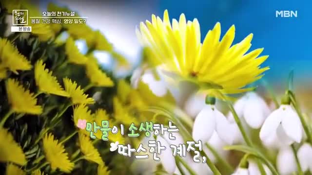 천기누설 2025-04-18