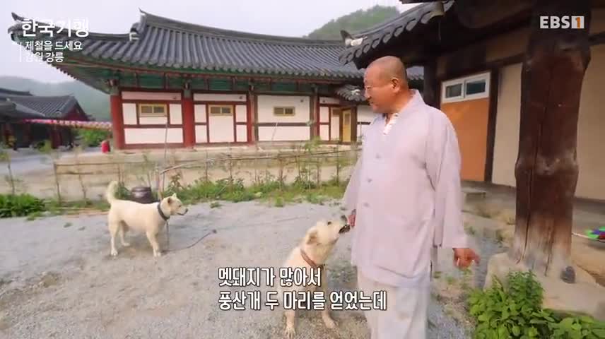 한국기행 2025-06-16