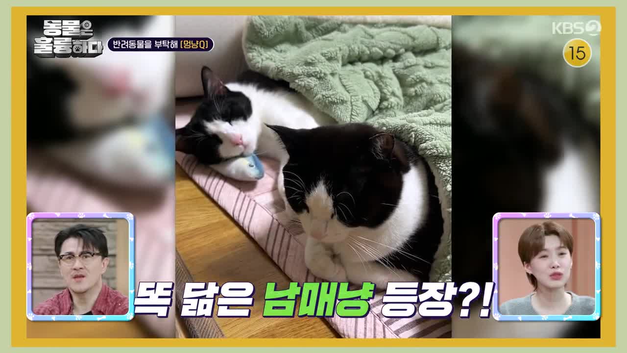 동물은 훌륭하다 2025-03-03