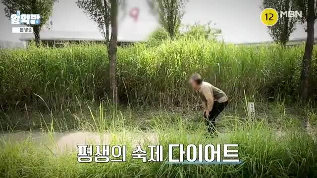알약방 2025-06-05