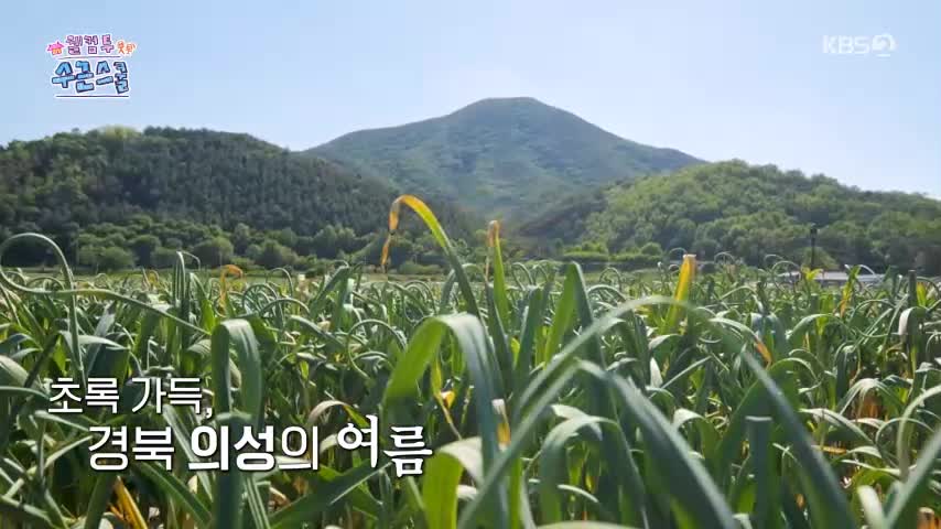 웰컴 투 수근스쿨 2026-08-06