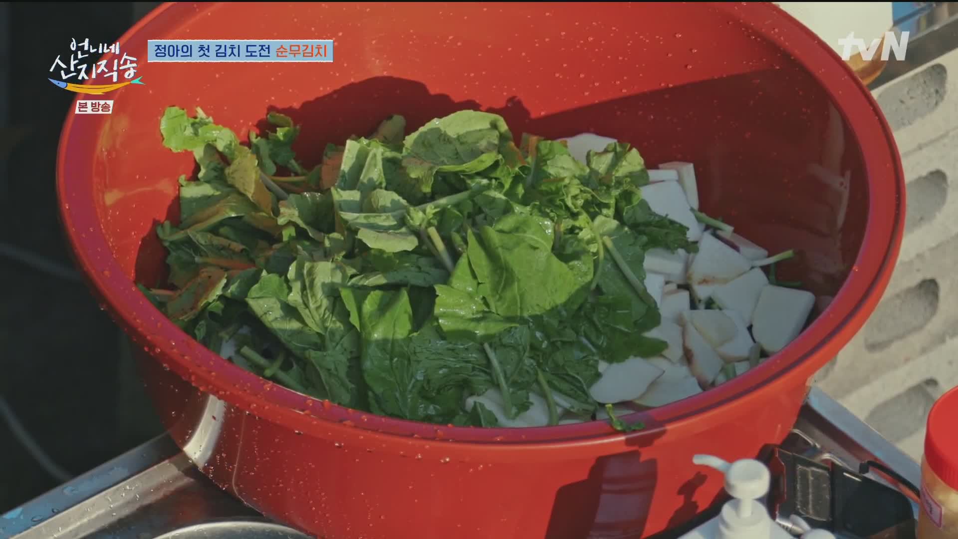 언니네 산지직송 제12회