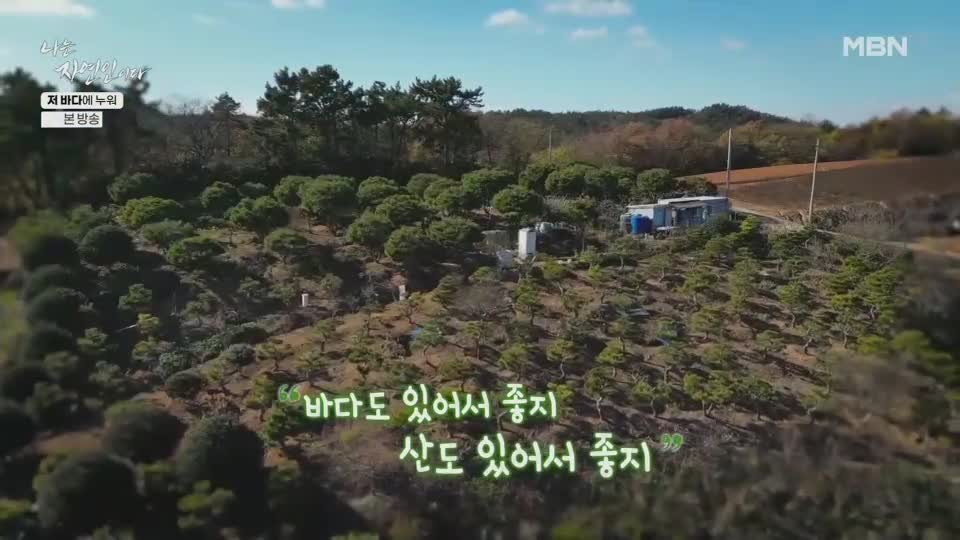 나는 자연인이다 제687회