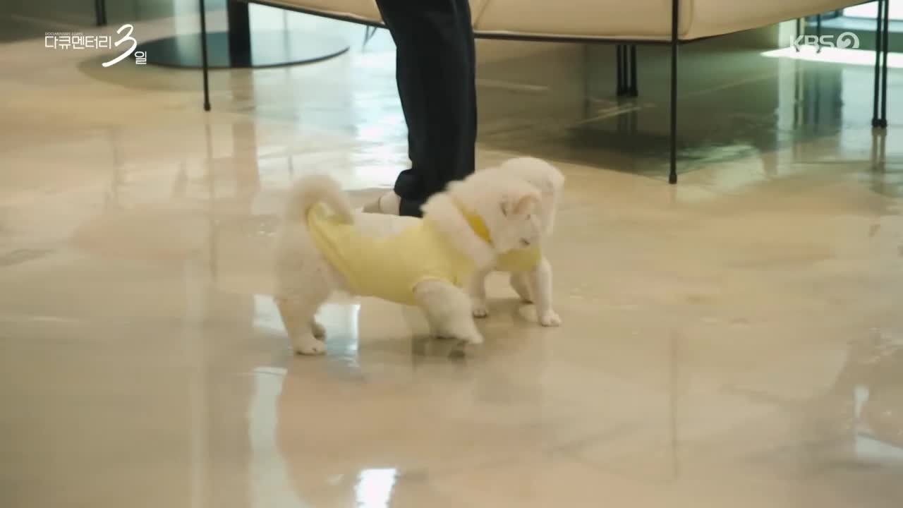 다큐멘터리 3일 2026-05-18
