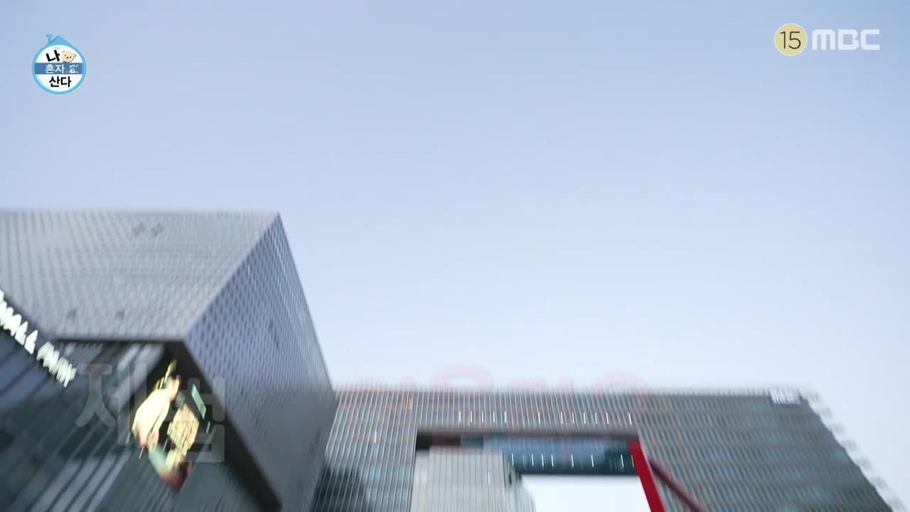 나혼자 산다 제628회