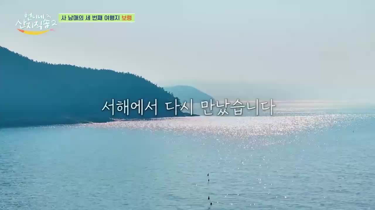 언니네 산지직송2 제9회 2025-06-08