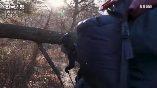한국기행 2025-01-10
