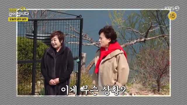 박원숙의 같이 삽시다 3 2025-06-02