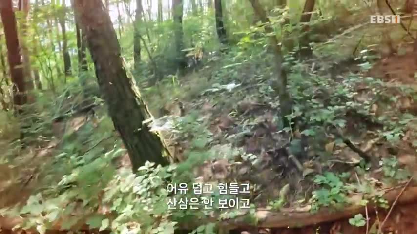 극한직업 2026-08-22
