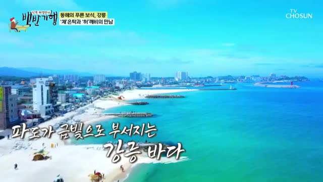 식객 허영만의 백반기행 제307회