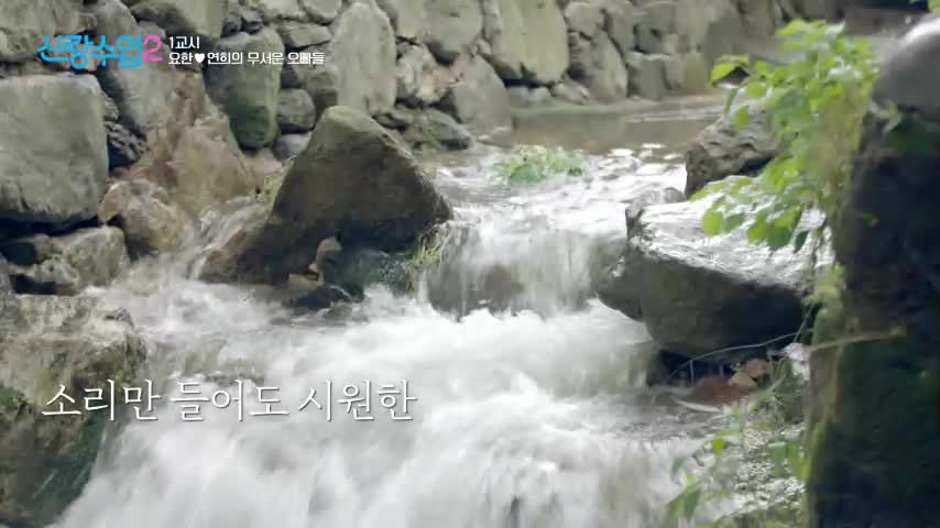 신랑수업2 2026-08-07