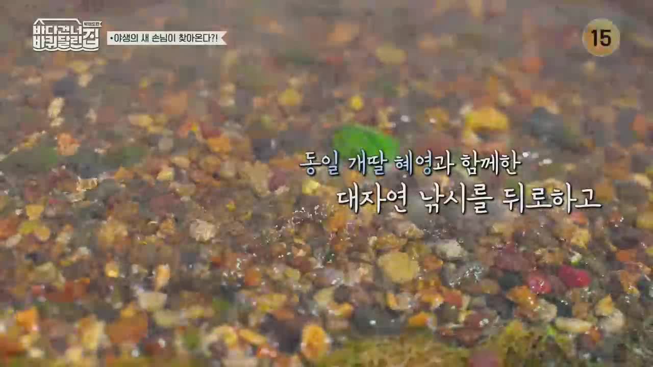 바퀴 달린 집: 북해도 편 2025-11-30