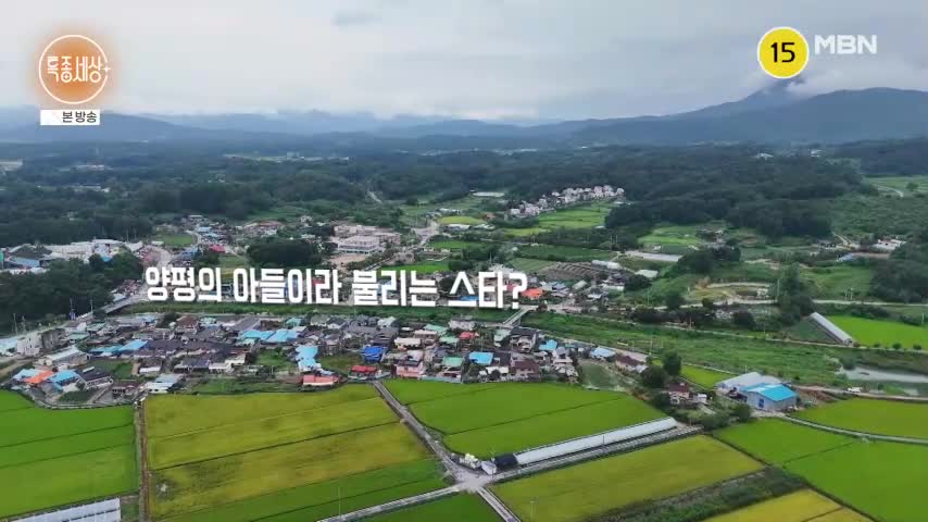 특종세상 2026-08-27