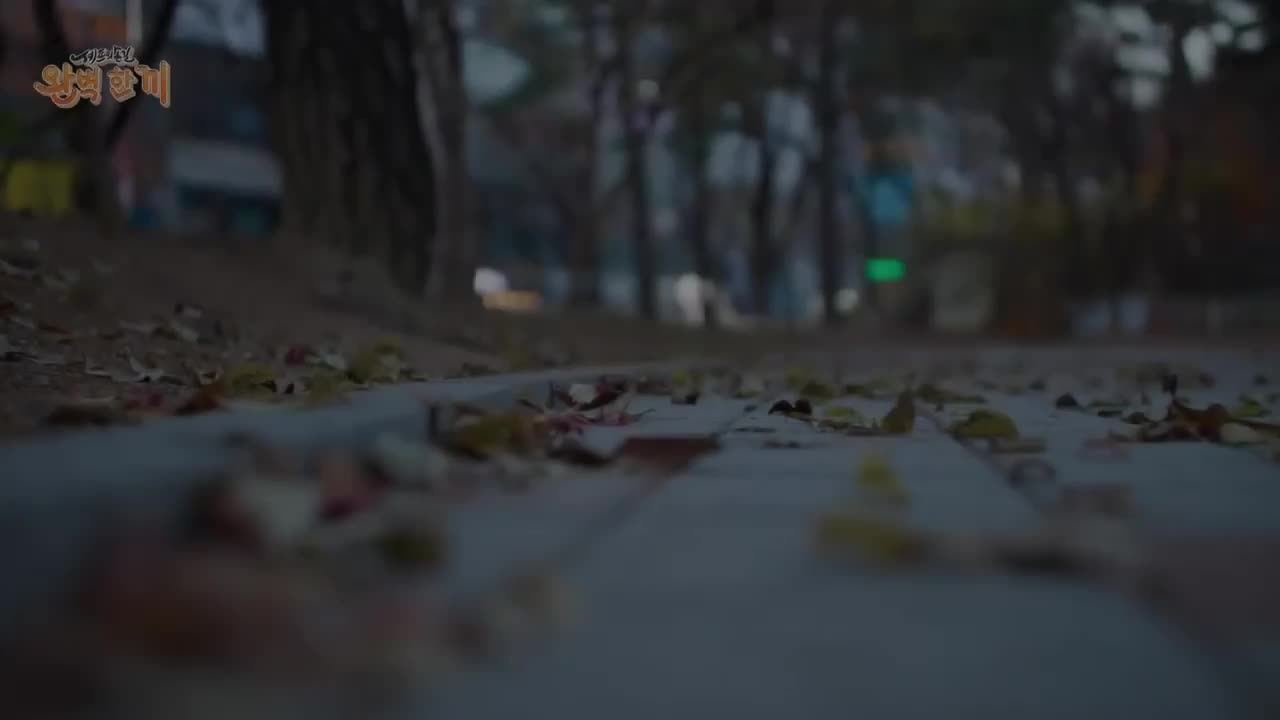 셰프의 손길 완벽 한 끼 제8회