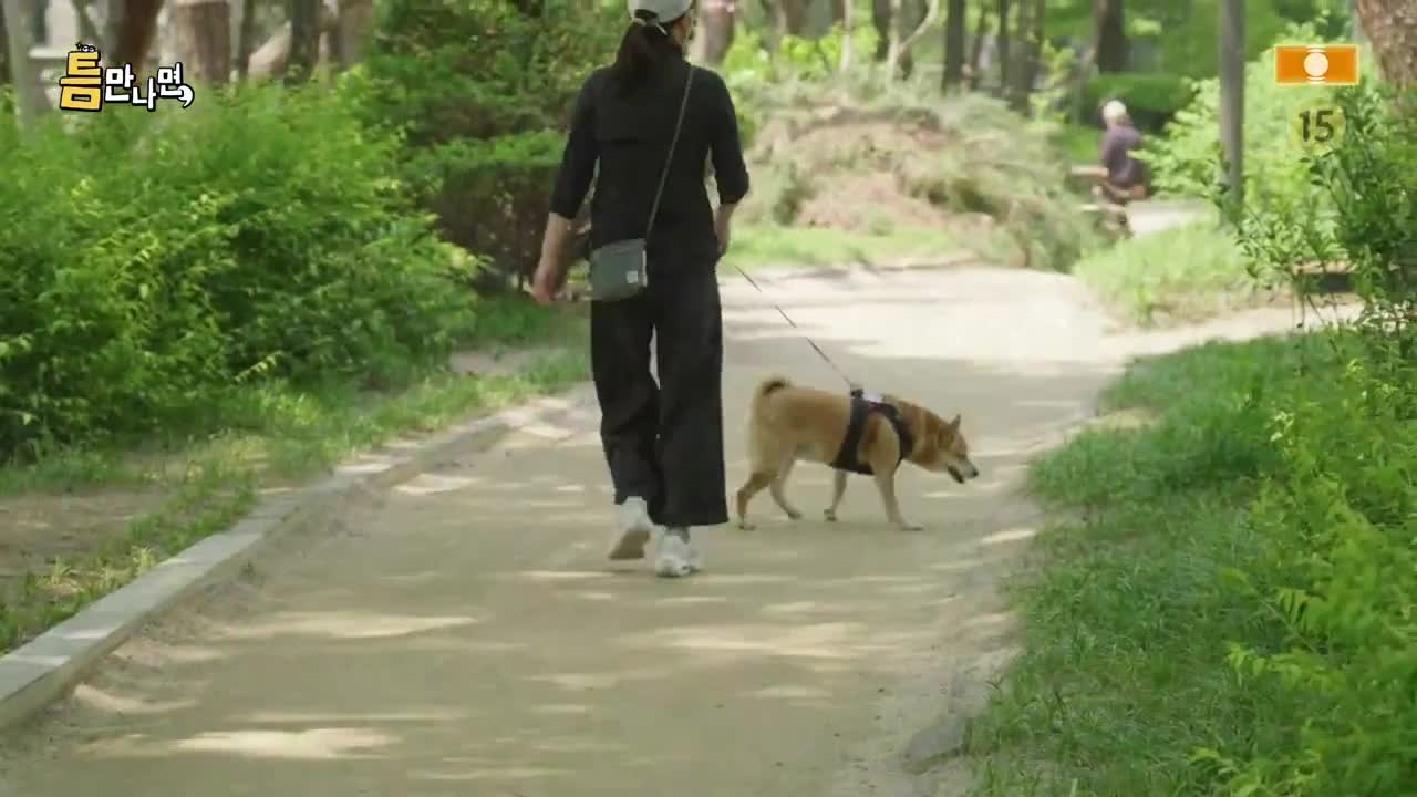 틈만나면 2025-05-27