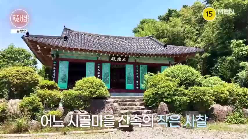 특종세상 2026-06-11