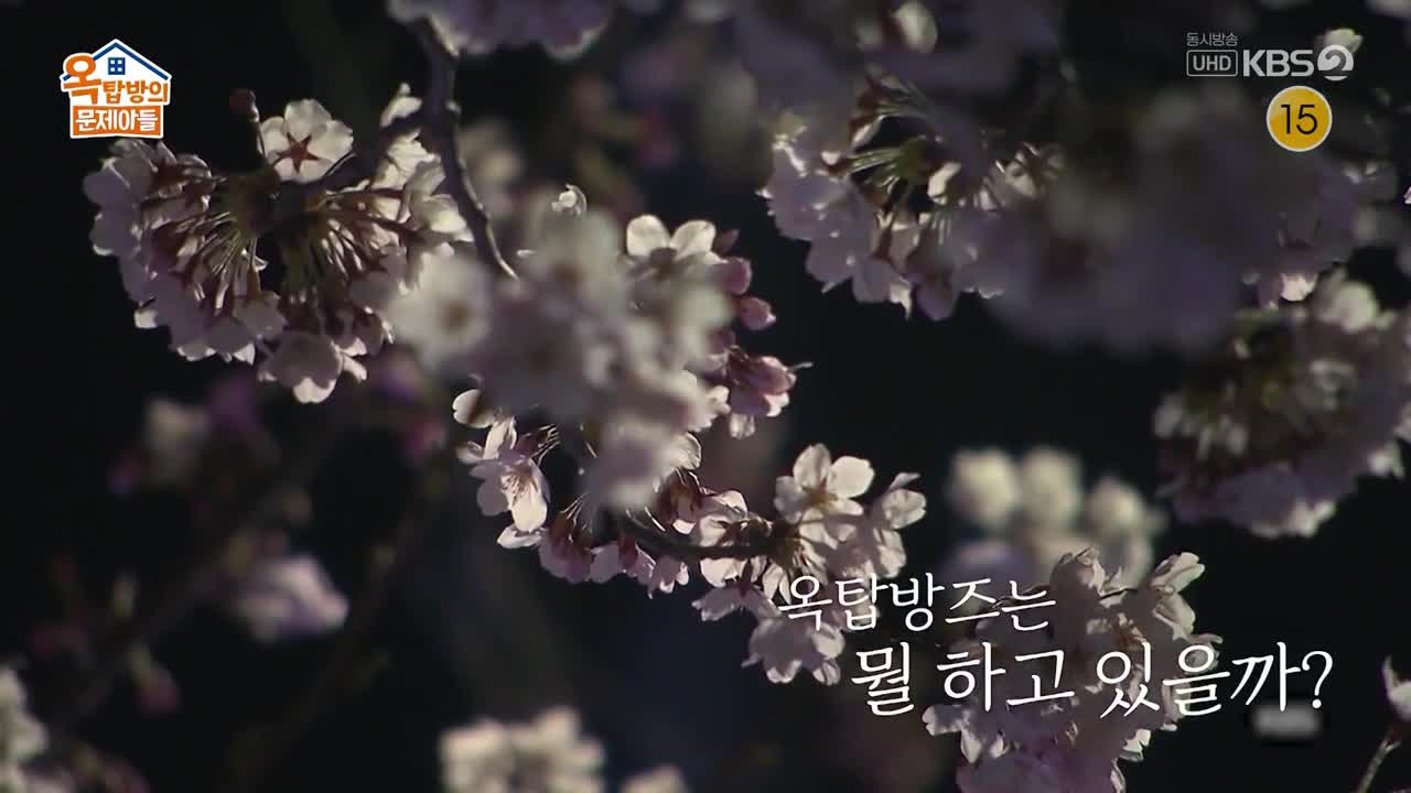 옥탑방의 문제아들 제263회