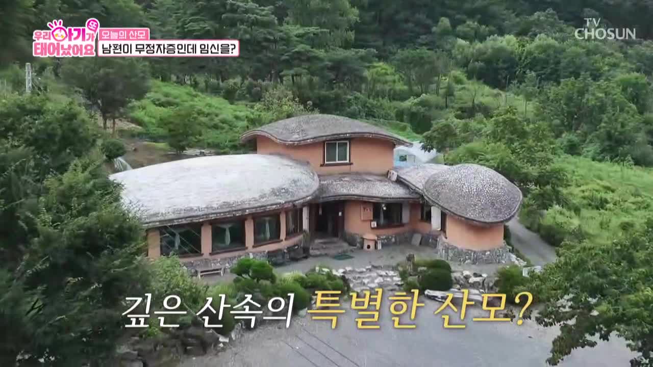 우리 아기가 또 태어났어요 2025-09-30