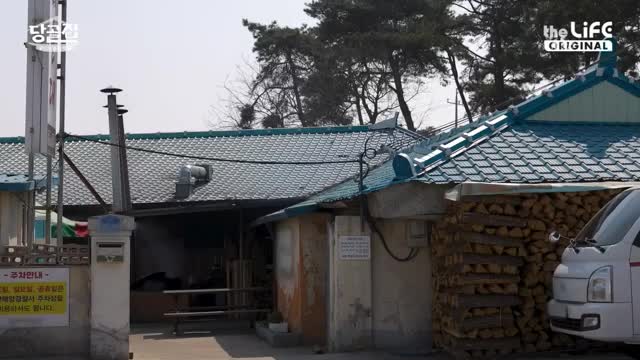 당신의 골목 맛집-당골집 2025-05-24