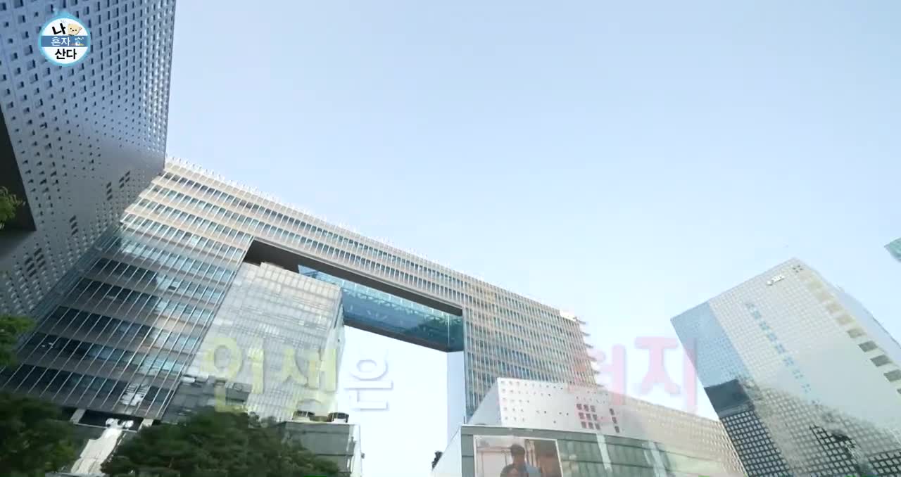 나혼자 산다 제617회