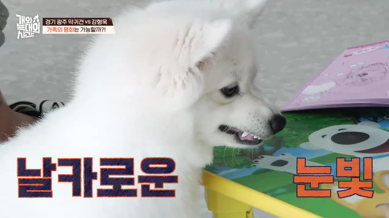 개와 늑대의 시간 2025-10-21