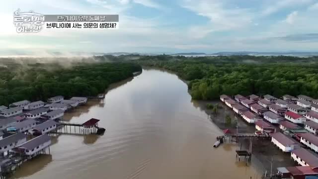류학생 어남선 (류남생) 2025-06-23