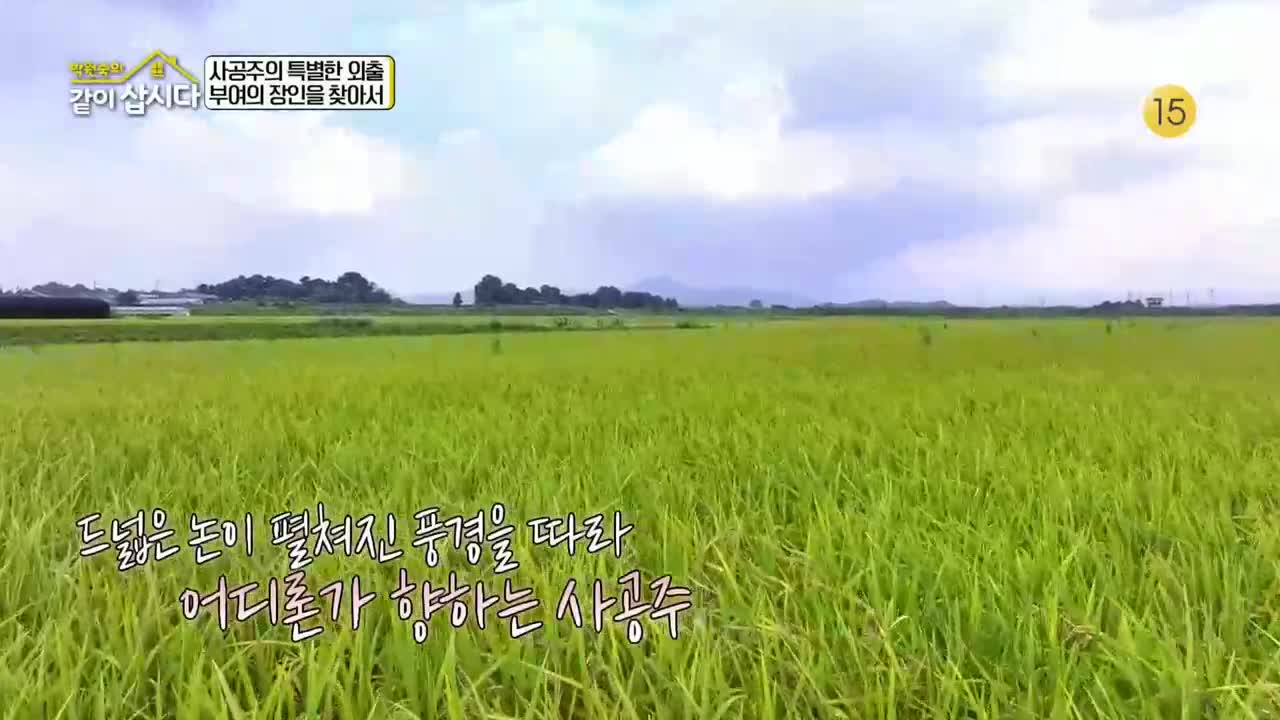 박원숙의 같이 삽시다 3 2025-10-27